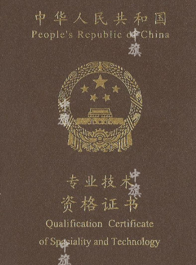 專(zhuān)業(yè)技術(shù)資格證書(shū)示例圖 專(zhuān)業(yè)技術(shù)資格證書(shū)示例圖