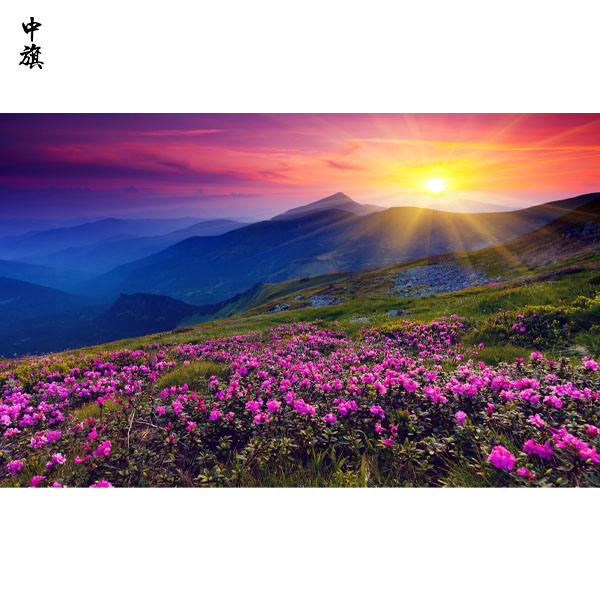 國(guó)內(nèi)旅行社如何守護(hù)你的旅行權(quán)益？