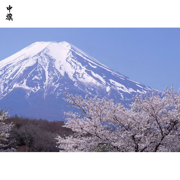 北京入境旅游旅行社設立與運營方案