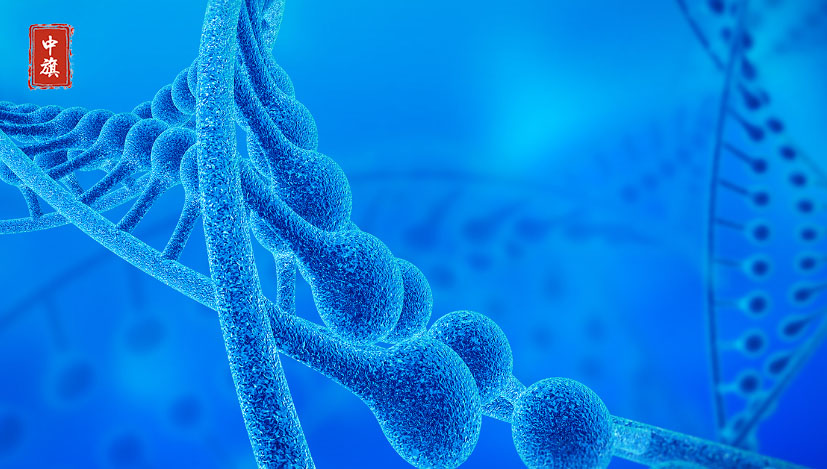 安全可靠 安全可靠