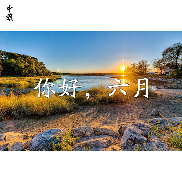 2024年行業(yè)前景預(yù)期，已經(jīng)6月份了是否有回暖現(xiàn)象