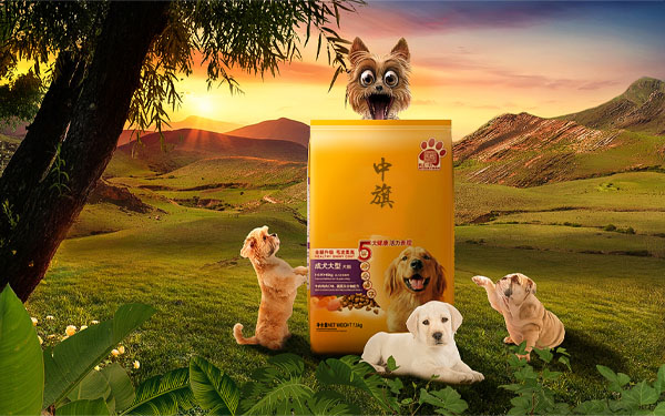 狗糧也要選一些大品牌，最起碼對咱們家的狗狗健康重要.jpg