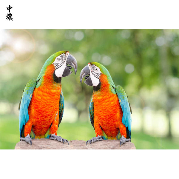 北京開一家寵物店需要辦理衛(wèi)生許可證么？