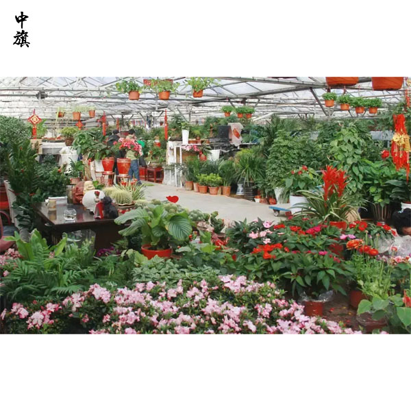 在北京開一家花鳥魚市場前景怎么樣？