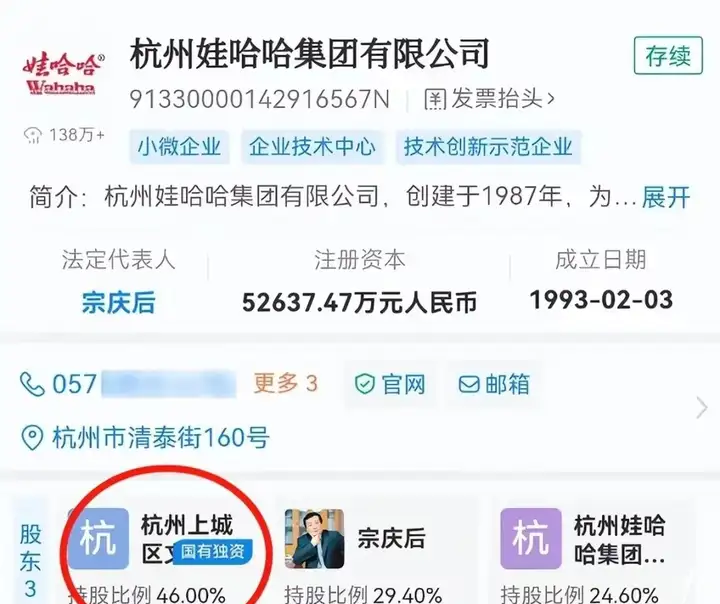 杭州娃哈哈集團(tuán)有限公司占股比例.png