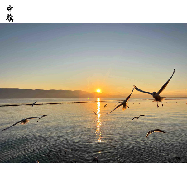 2024年新趨勢下的旅行社，業(yè)務模式與創(chuàng)新策略