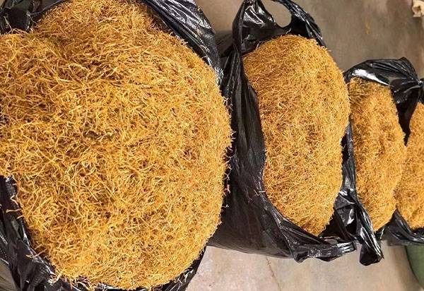 剛剛新下來的煙葉，看著質量還是非常不錯的