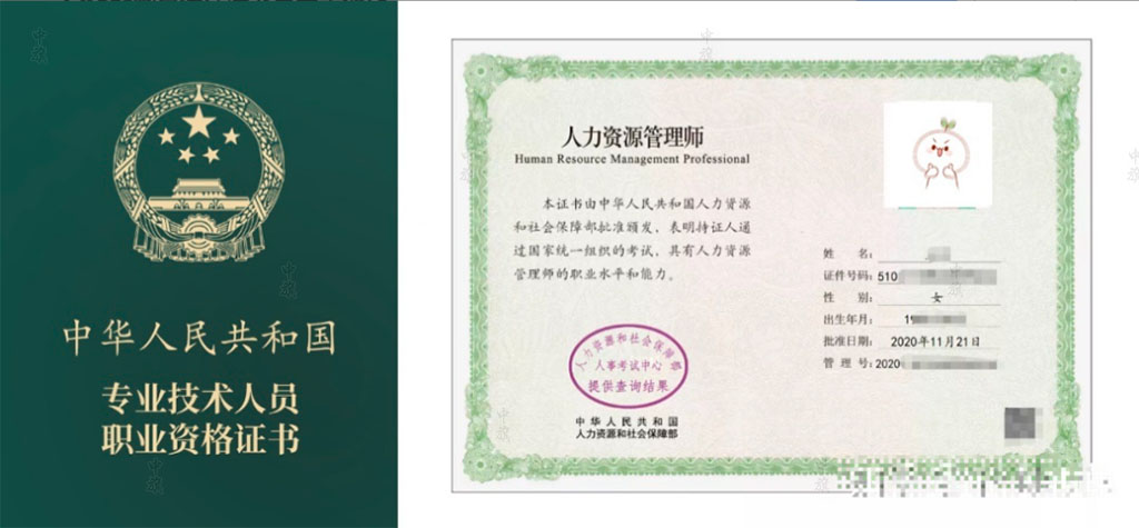 專業(yè)技術(shù)人員職業(yè)資格證書 專業(yè)技術(shù)人員職業(yè)資格證書