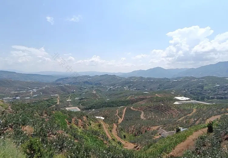 中國石榴之鄉(xiāng).jpg 中國石榴之鄉(xiāng).jpg