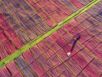 現(xiàn)金流量表