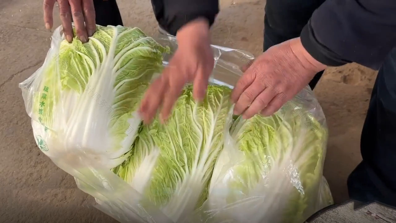 今早隔壁的劉阿姨準備的大白菜要給她的孩子送過去.jpg