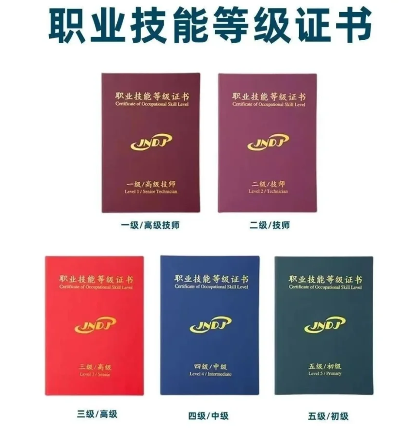 職業(yè)技能等級證書.png