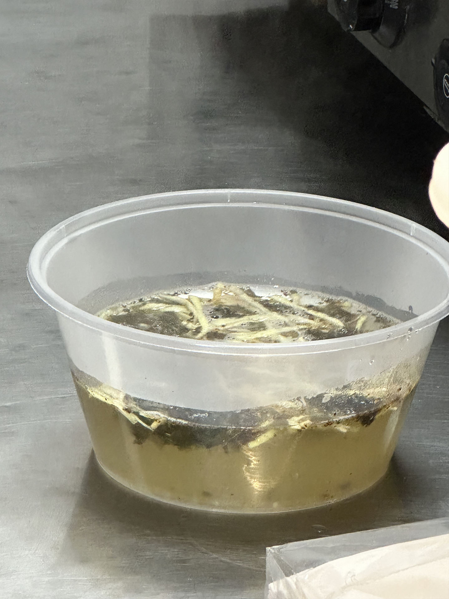 調好的餛飩湯.jpg 調好的餛飩湯.jpg