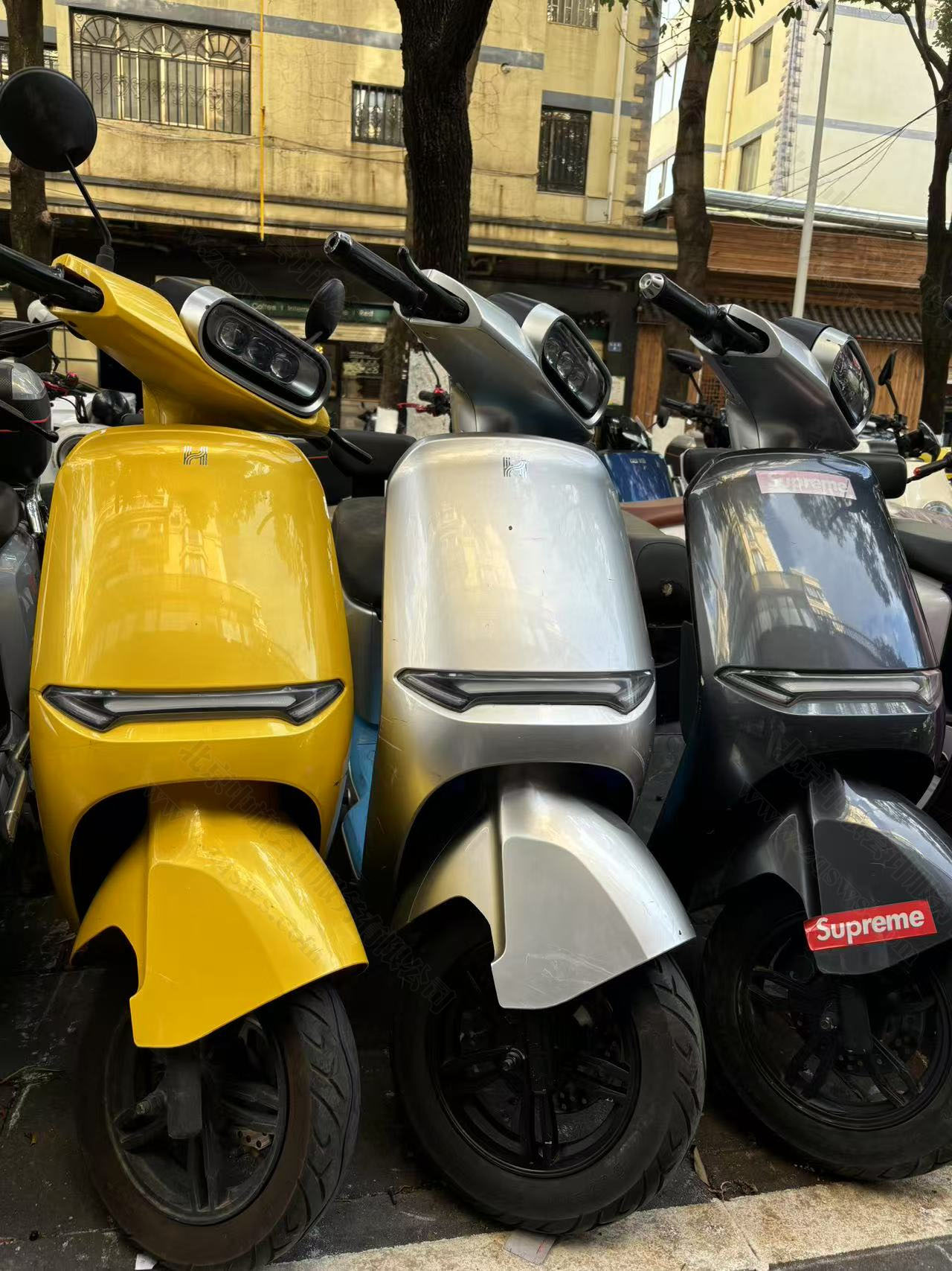 電動車出租出售.jpg 電動車出租出售.jpg