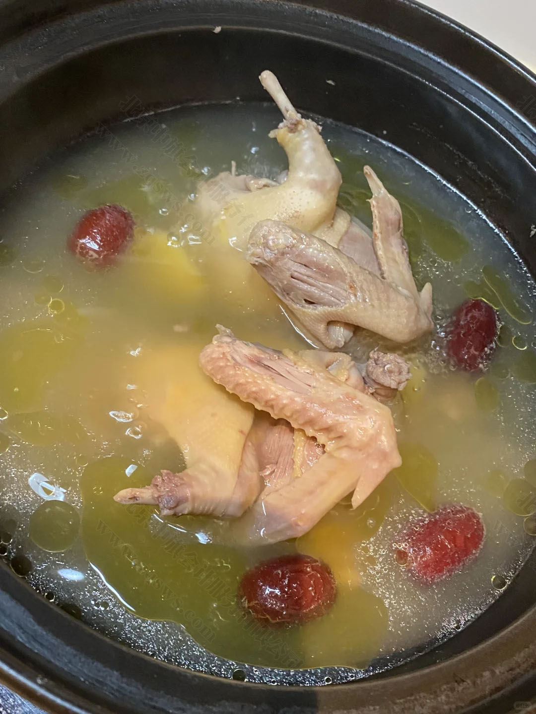 老張自己燉的鴿子湯.jpg 老張自己燉的鴿子湯.jpg