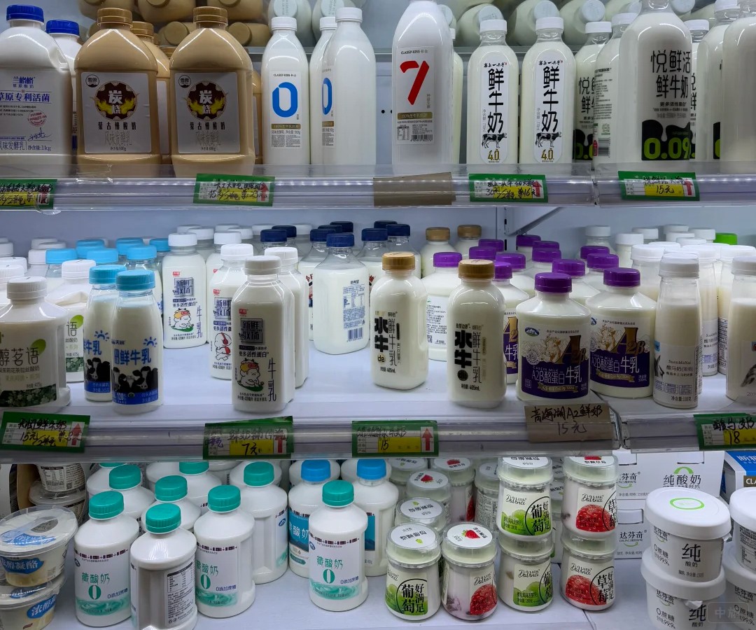 鮮牛奶、常溫奶，到酸奶、奶酪一應(yīng)俱全.jpg