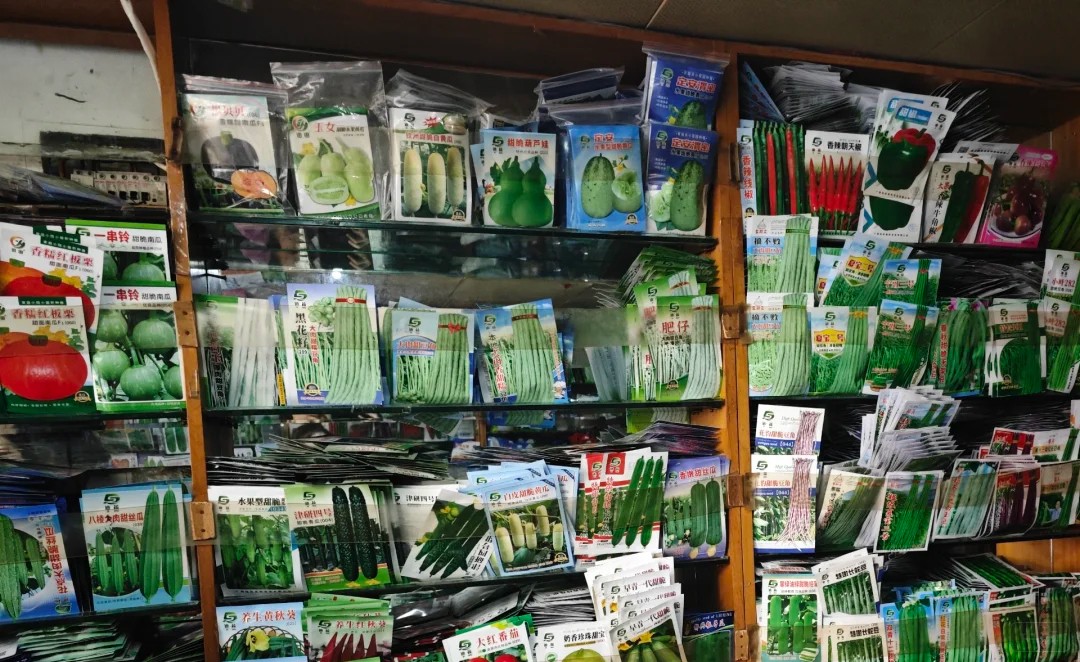 種子銷售市場 種子銷售市場