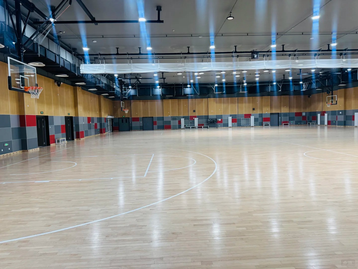 籃球場館 籃球場館