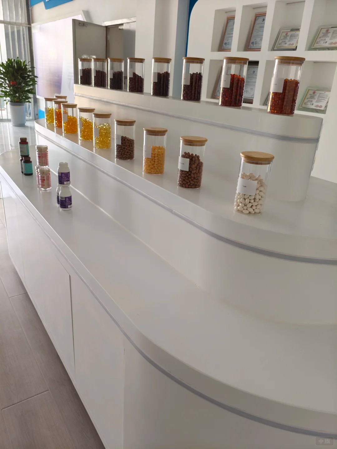 企業(yè)進口保健食品展示臺