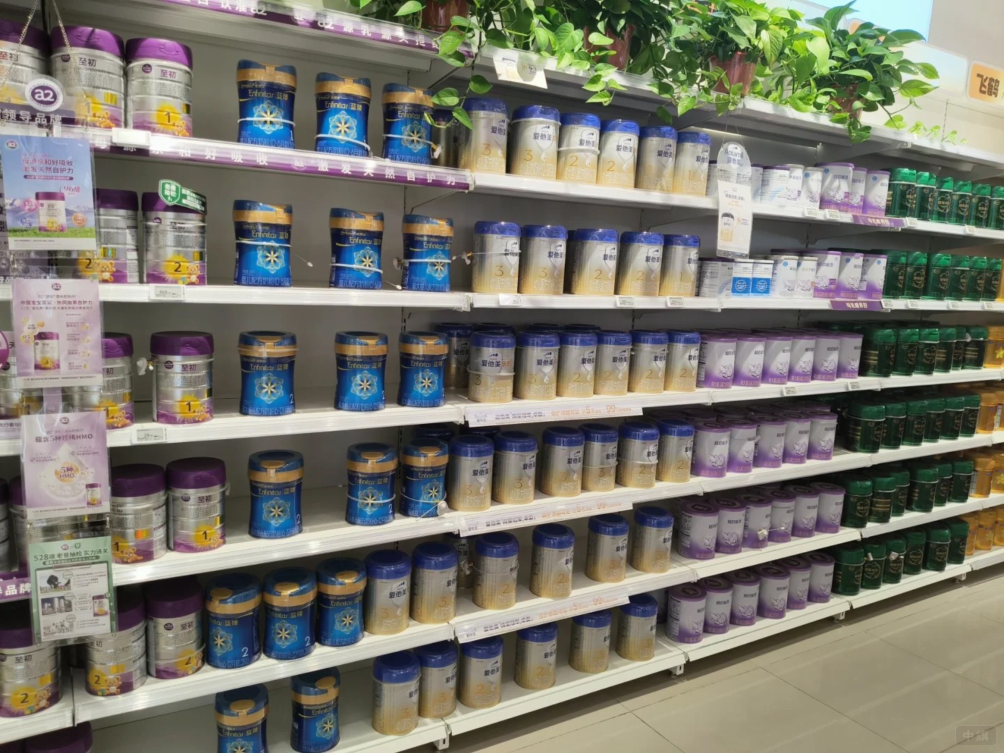 母嬰護(hù)理店也有賣進(jìn)口奶粉的 母嬰護(hù)理店也有賣進(jìn)口奶粉的