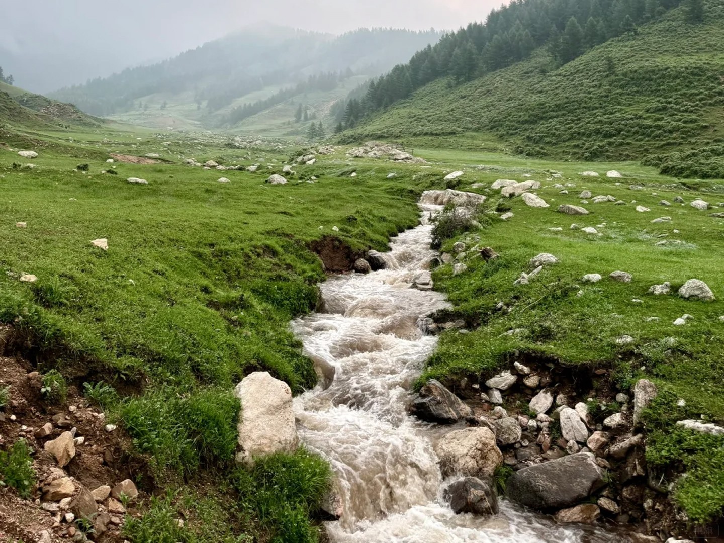 蘆茅山這風(fēng)景不錯(cuò)吧？
