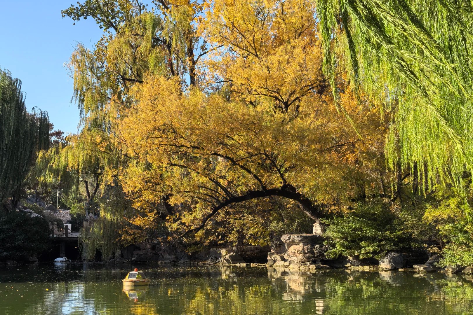 北京動物園實拍照片