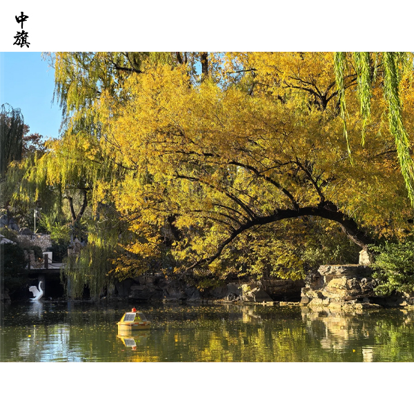 個(gè)人能開(kāi)動(dòng)物園么？需要哪些條件？