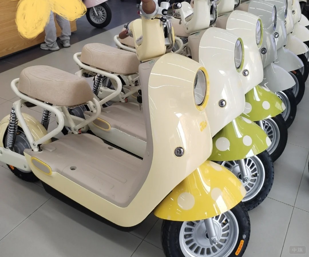 新國標(biāo)的小座椅，好像只能坐一個人欸