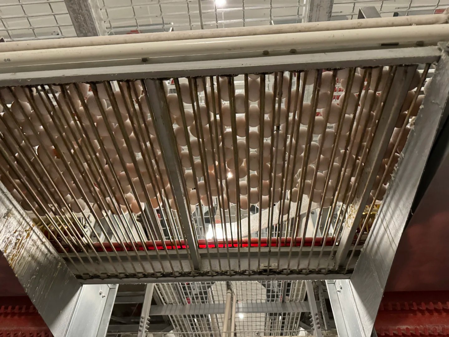 養(yǎng)殖場(chǎng)飼養(yǎng)需要控制成本