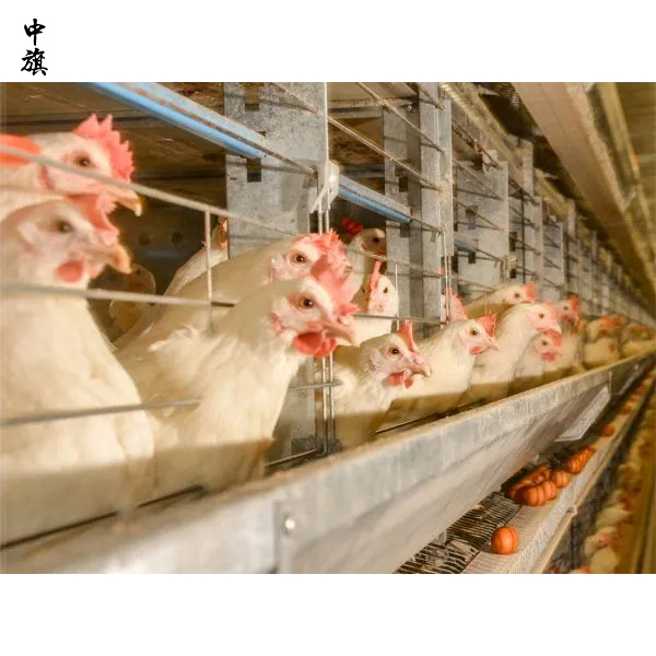 2026年開養(yǎng)殖場還能賺錢嗎？