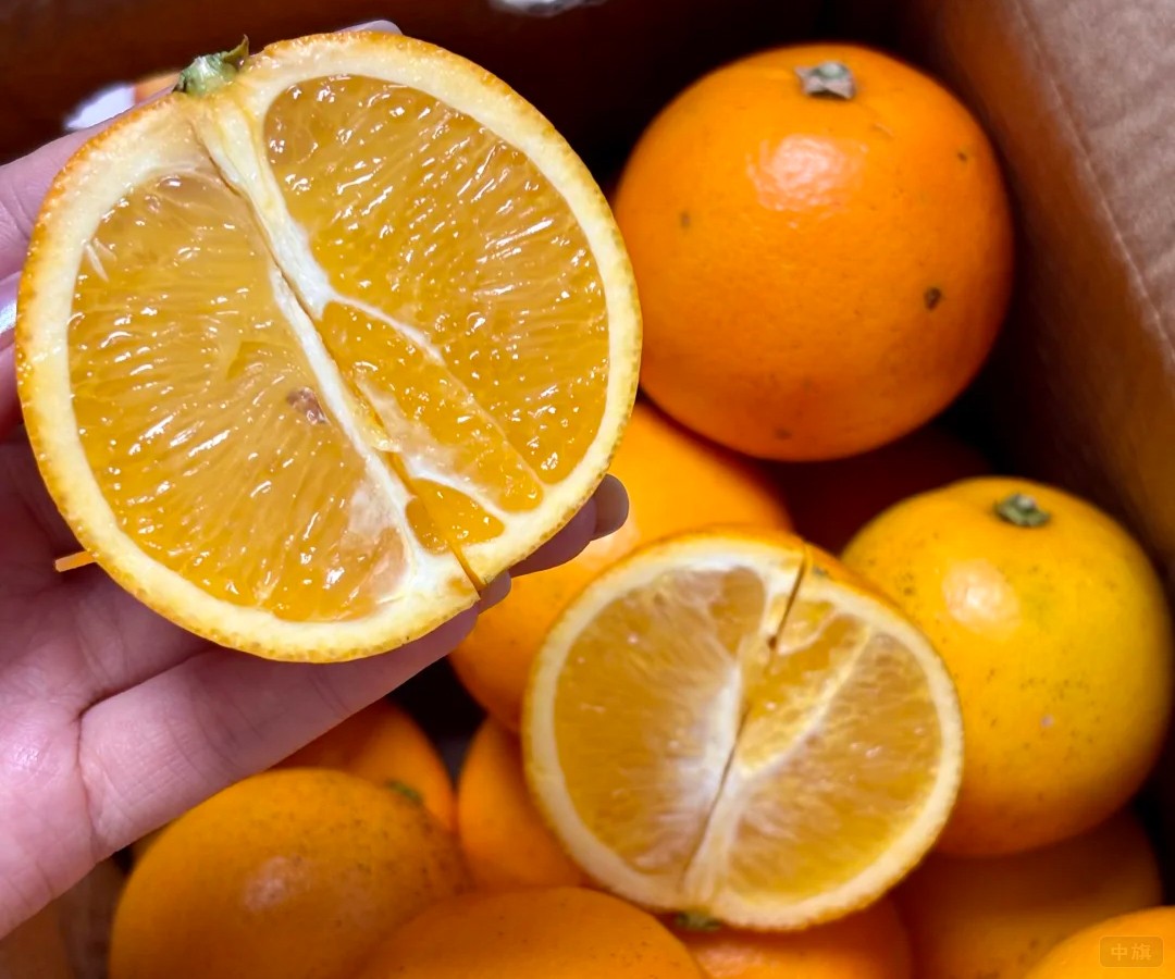 農(nóng)民自產(chǎn)自銷的橙子，采摘下來就可以賣