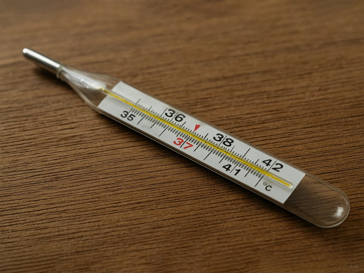 體溫計