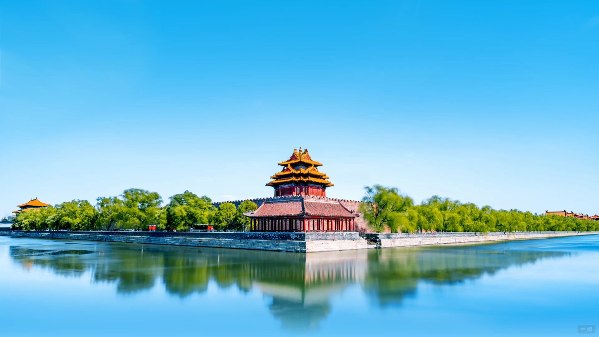 新東方網站背景圖